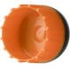 First_Strike_Paintballs_10er_Roehrchen_grau_orange_Details